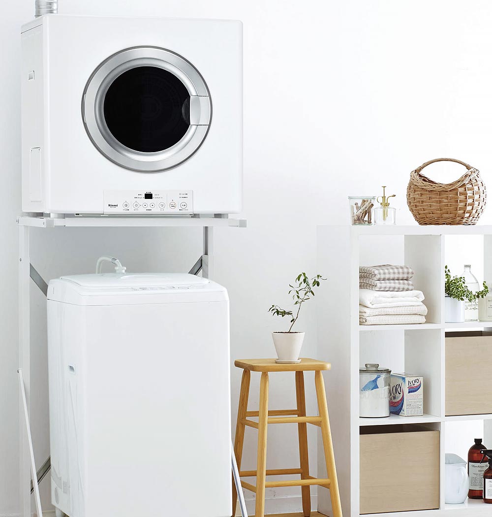 乾太くん スタンダードタイプ  RDT-54S(A)-SV