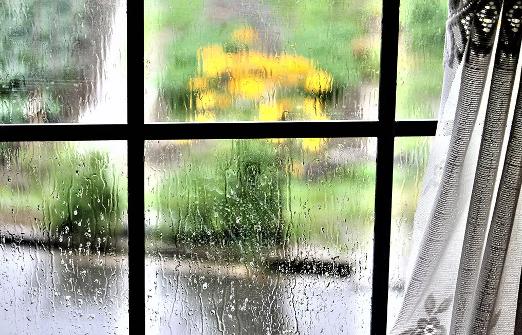 雨の日イメージ